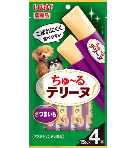 [DOG] 이나바 완츄르 테린 - 고구마